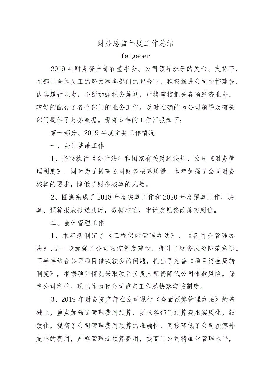 财务总监年度工作总结.docx_第1页