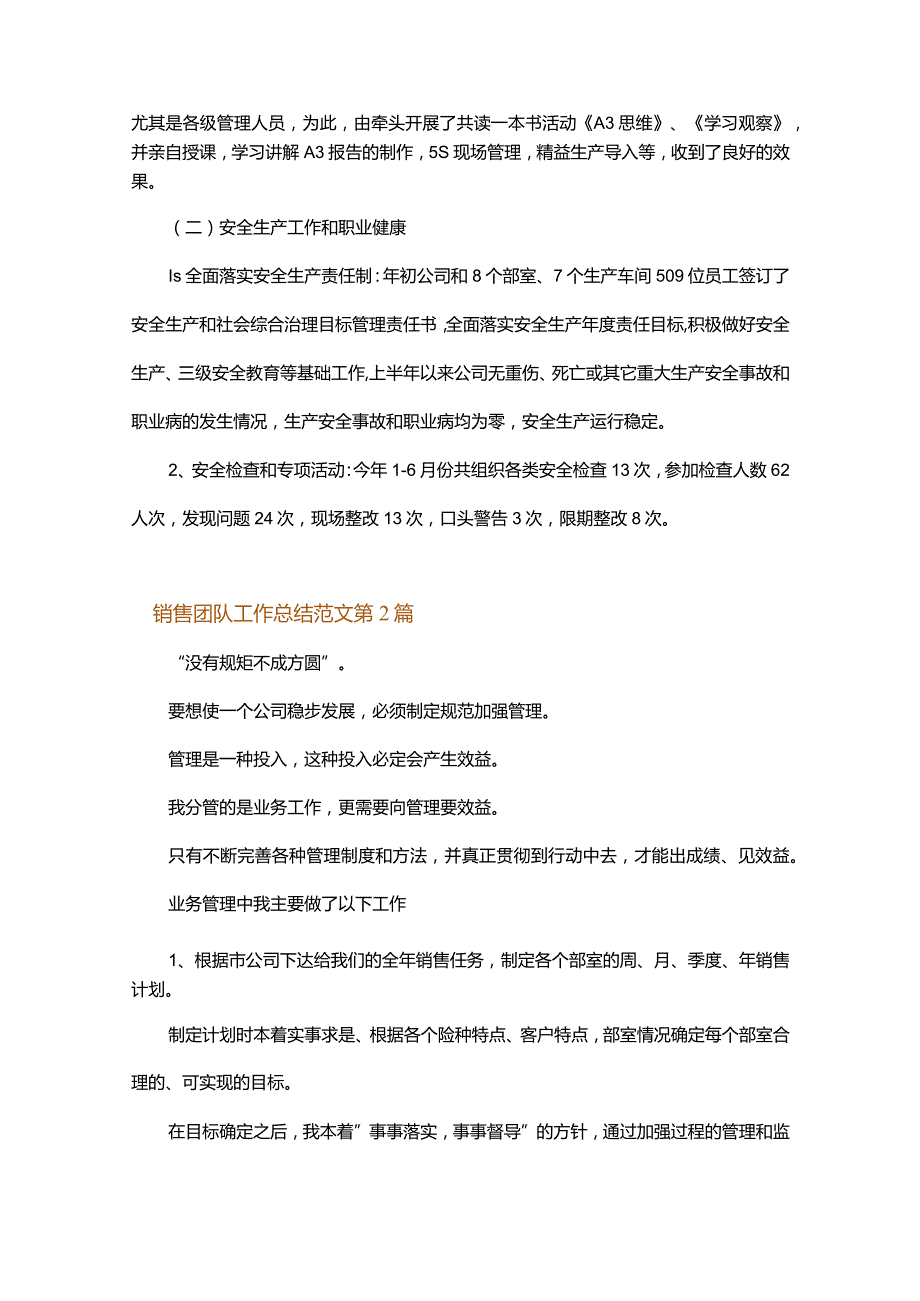 销售团队工作总结范文.docx_第2页