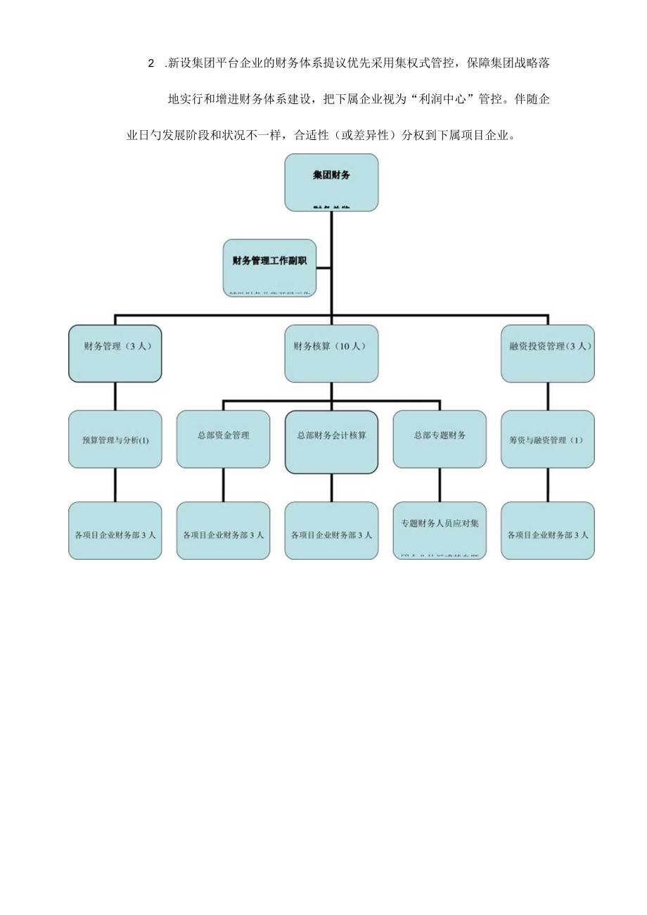 财务体系模式与组织架构的丰富设计方案.docx_第3页