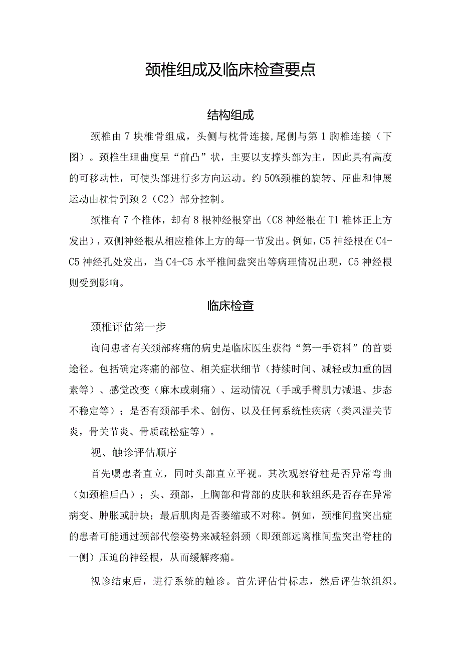 颈椎组成及临床检查要点.docx_第1页