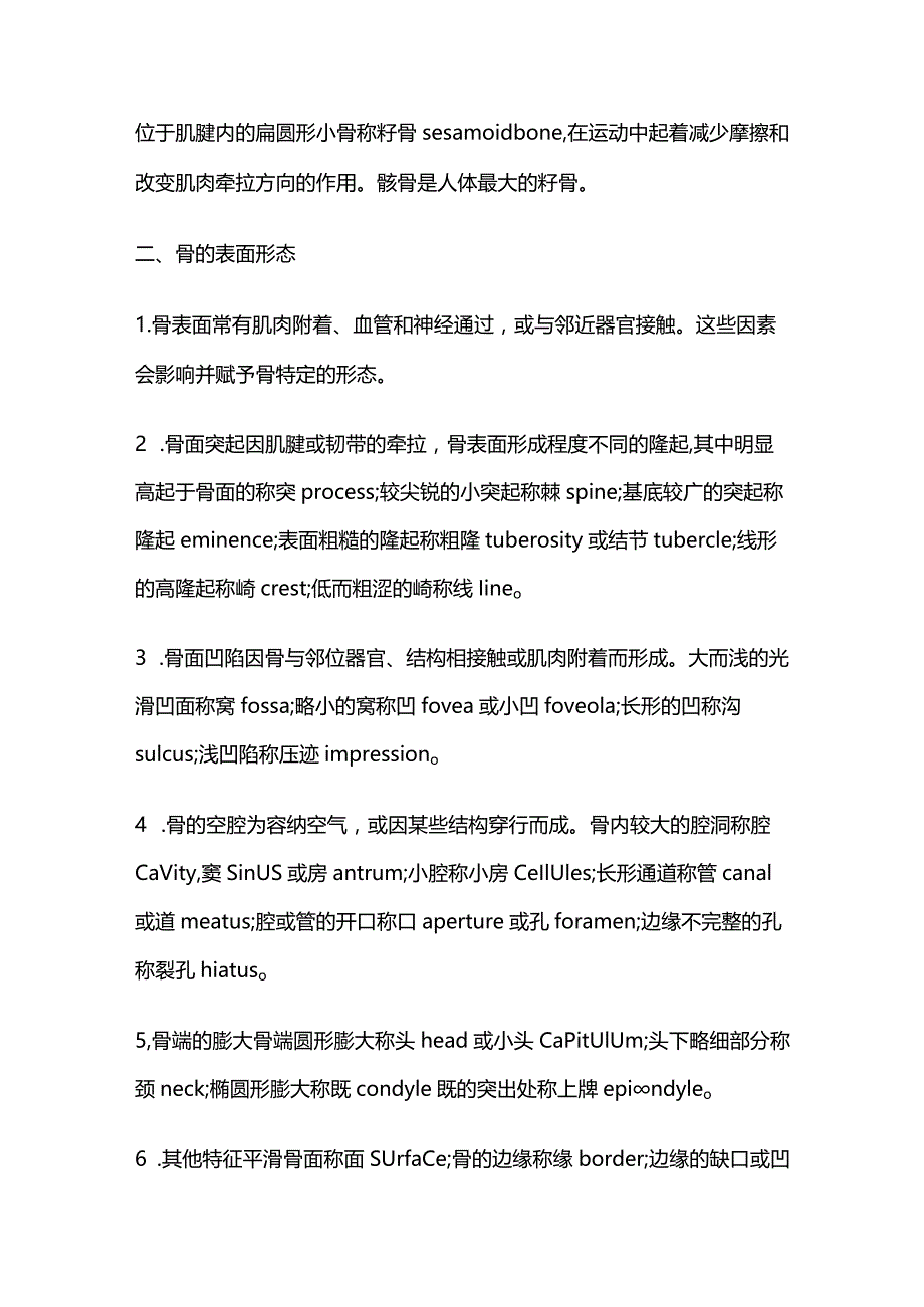 骨学知识点汇总.docx_第3页