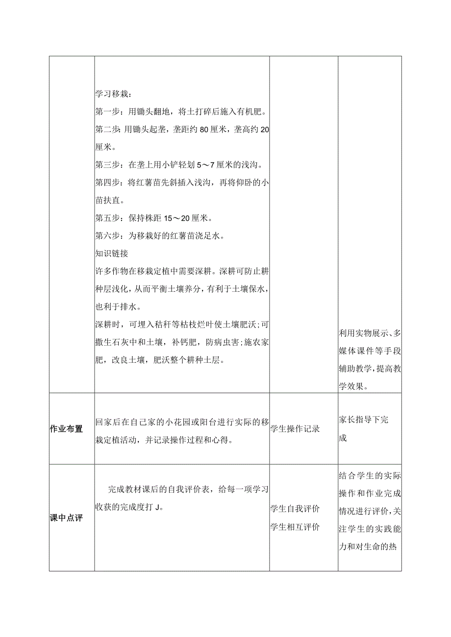 10-移栽定植我能行六年级劳动下册（人民版）.docx_第3页