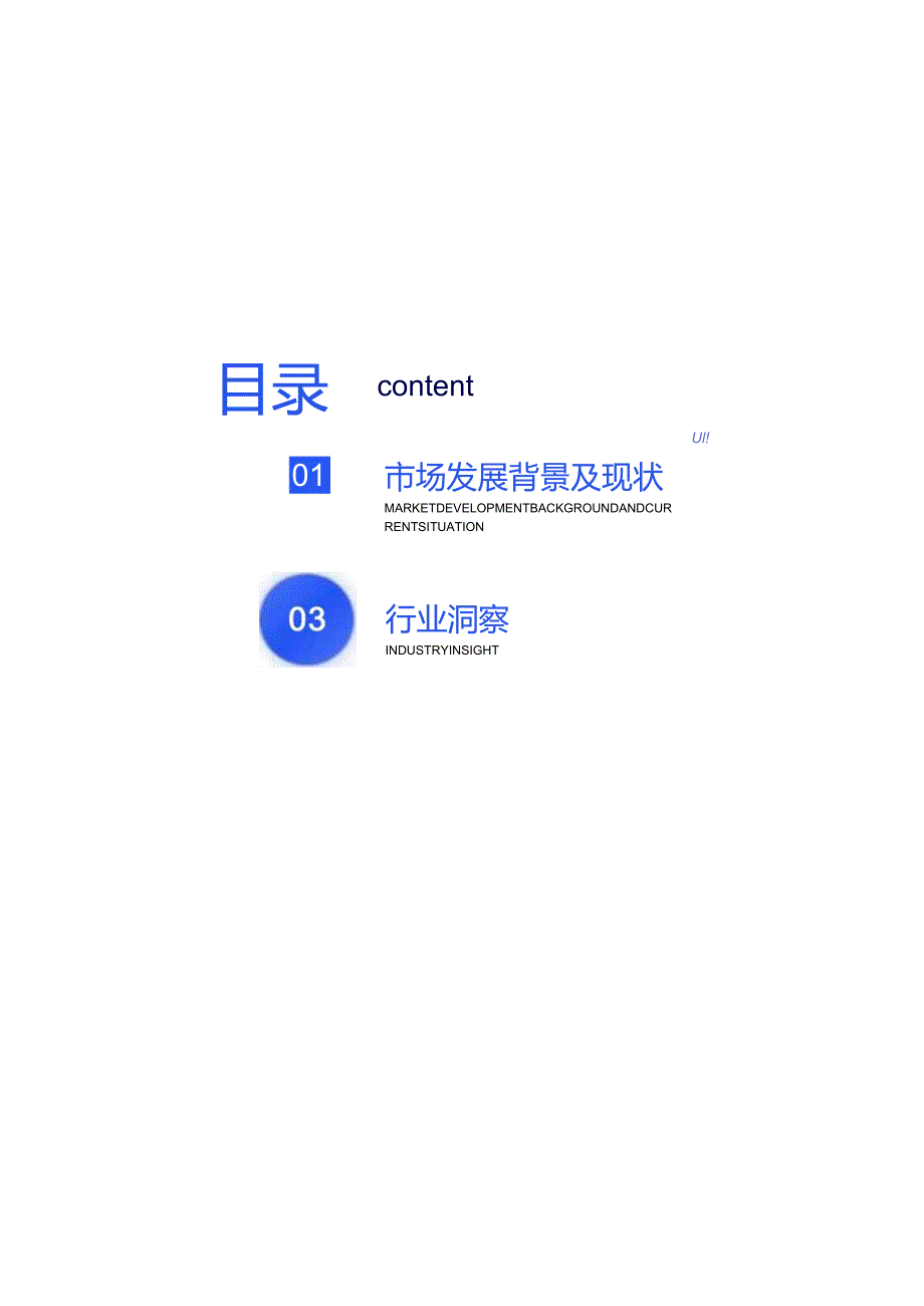 2024全球童装市场洞察报告.docx_第2页