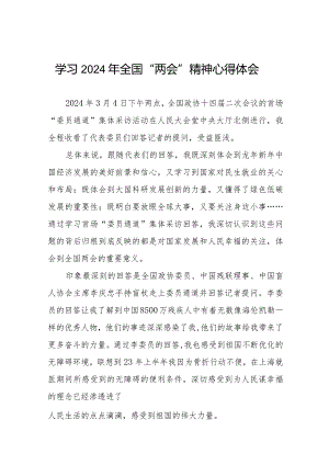 学习贯彻2024年“两会”精神心得体会二十篇.docx