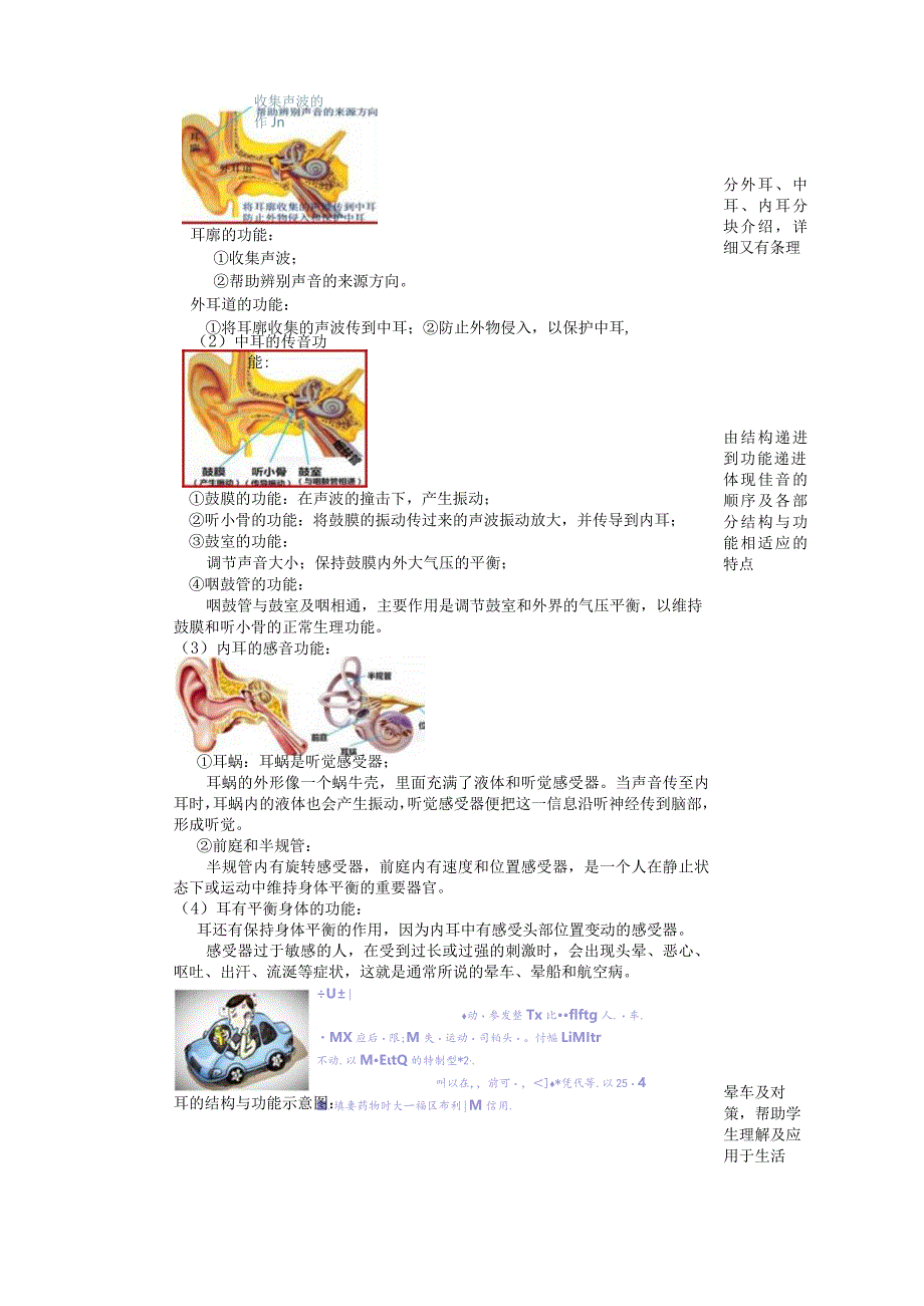 2024浙教版七下科学2.3耳和听觉（1）教学设计（表格式）.docx_第2页