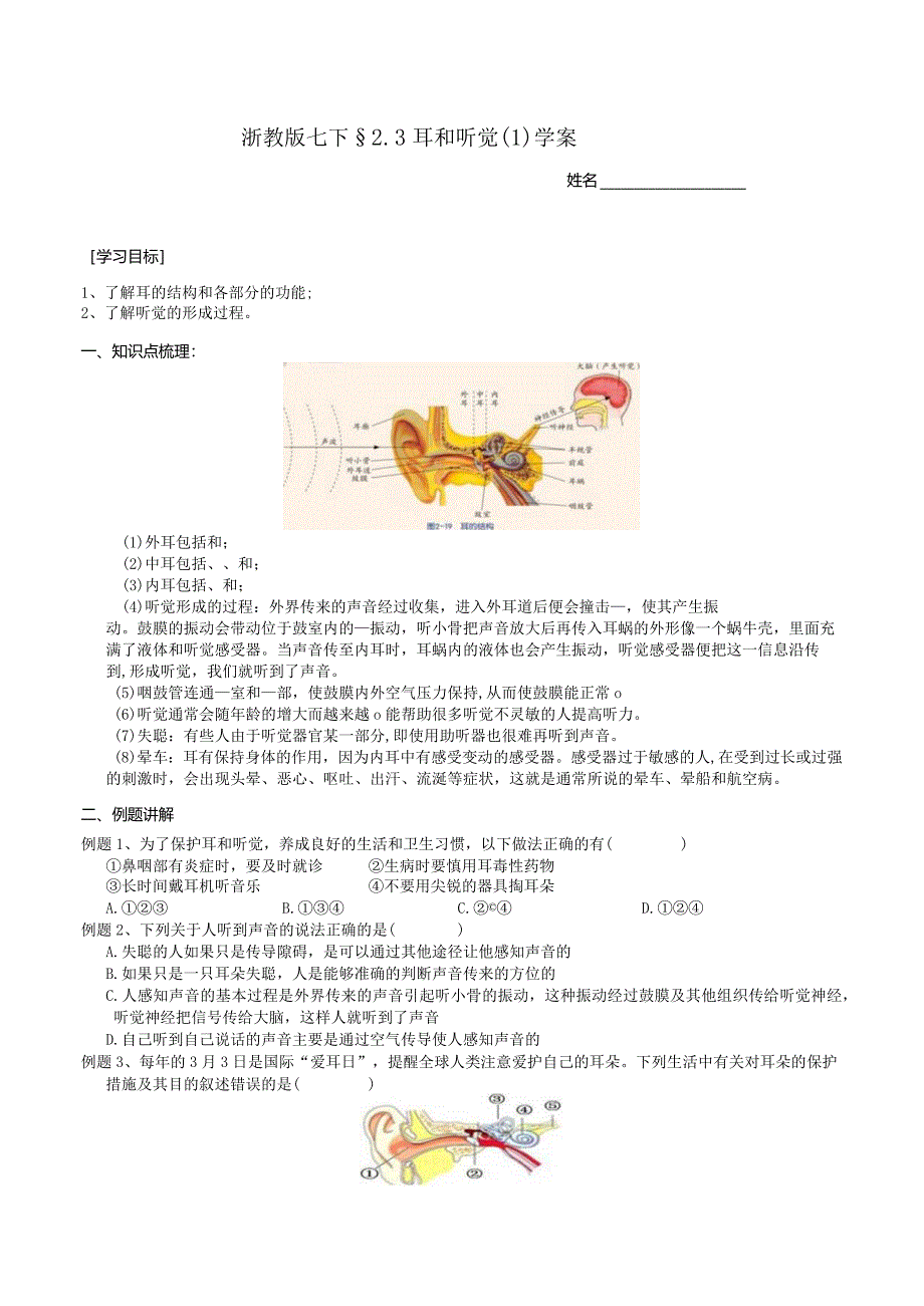 2024浙教版七下科学2.3耳和听觉（1）学案.docx_第1页