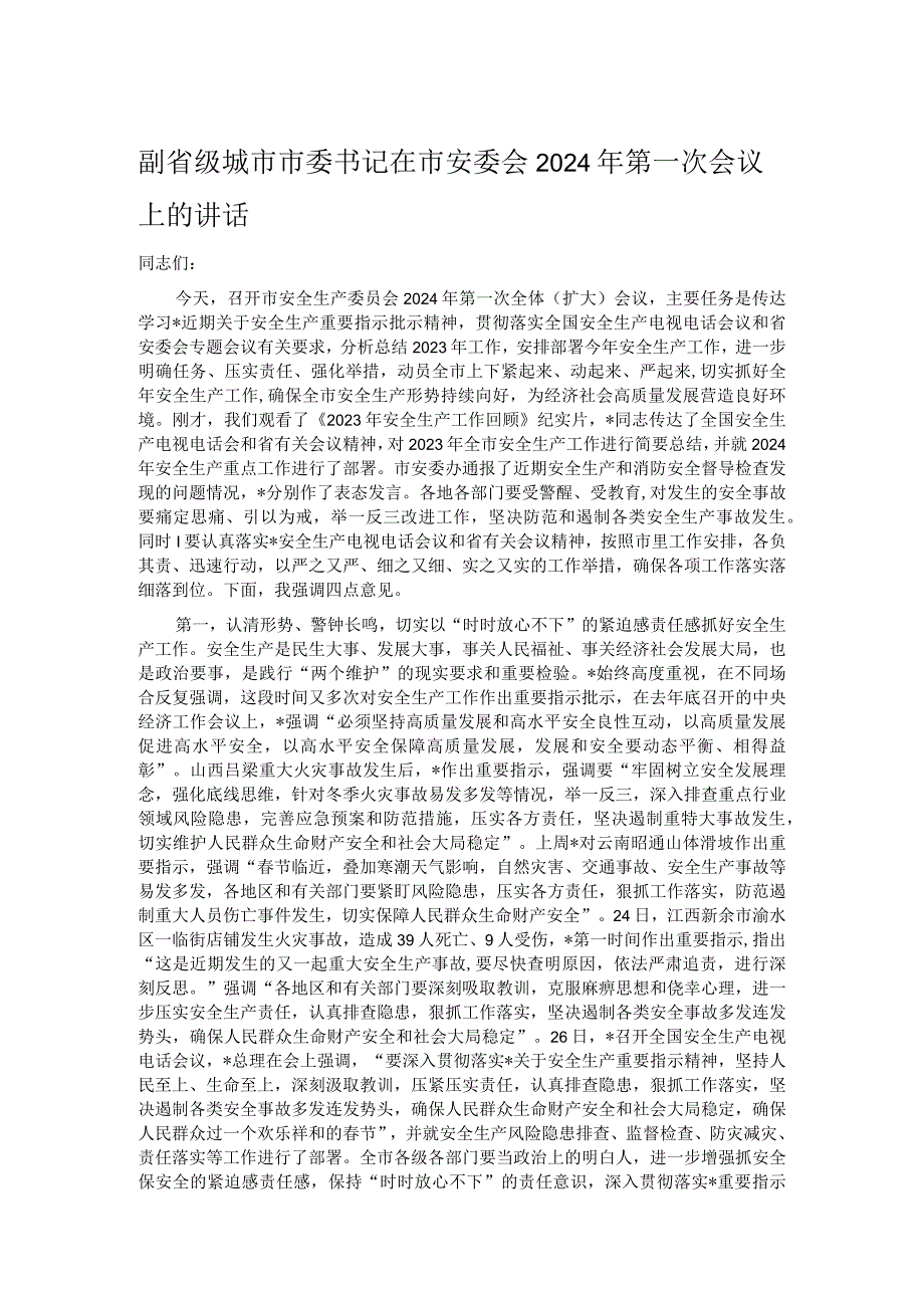 副省级城市市委书记在市安委会2024年第一次会议上的讲话.docx_第1页