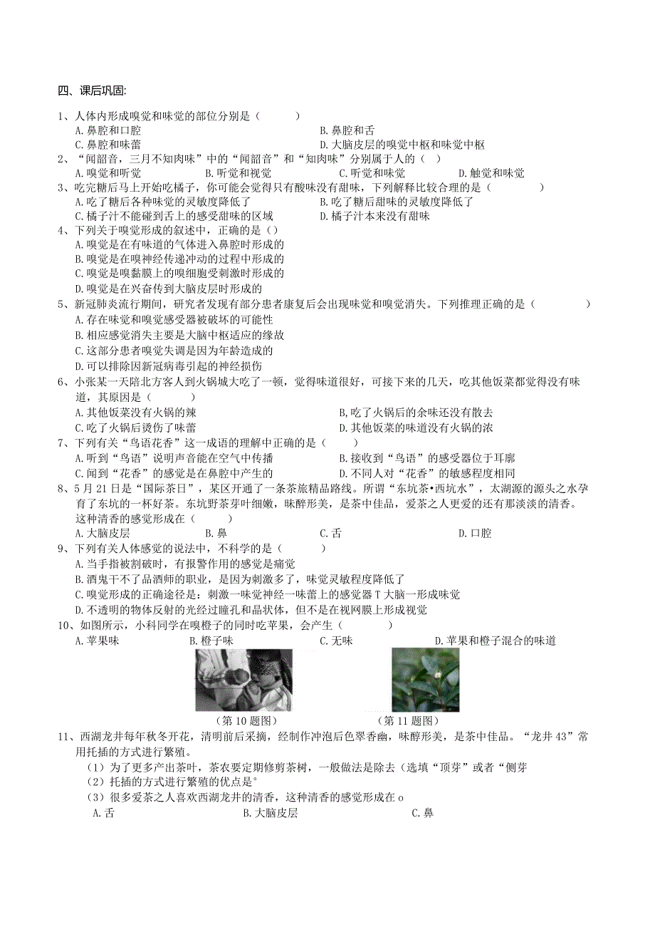 2024浙教版七下科学2.1感觉世界（2）学案.docx_第3页