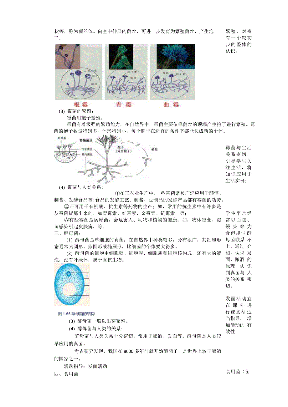 2024浙教版七下科学1.6细菌和真菌的繁殖（2）教学设计（表格式）.docx_第2页