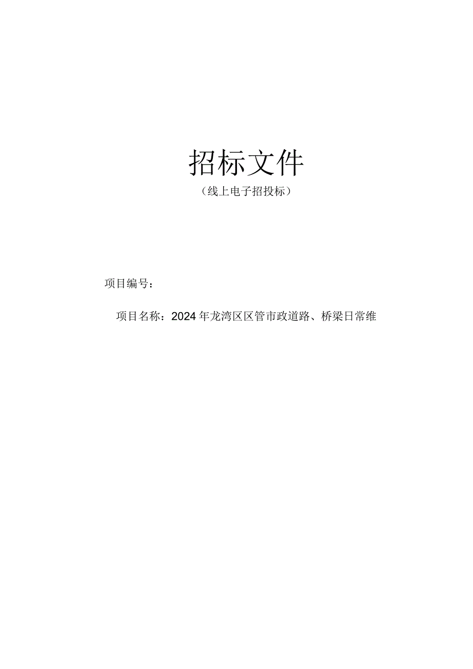 市政道路、桥梁日常维养施工监理项目招标文件.docx_第1页