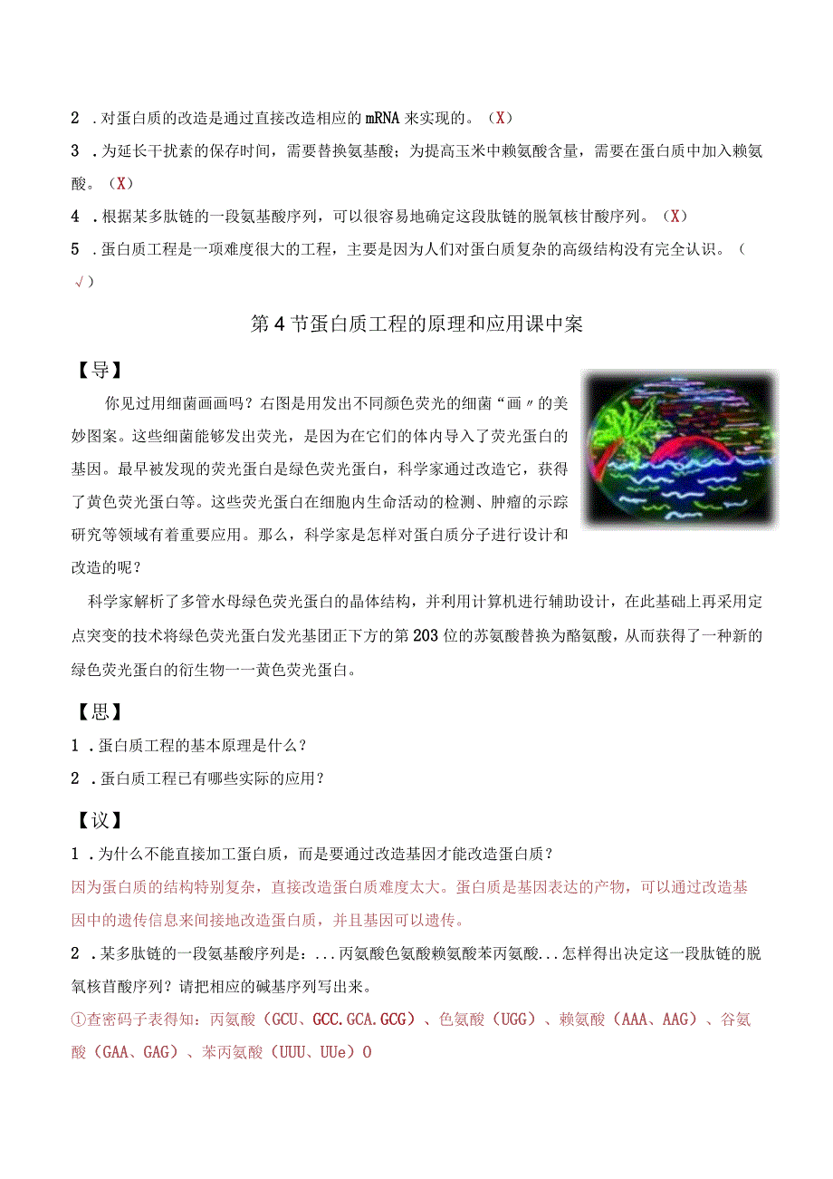 3.4蛋白质工程的原理和应用.docx_第2页