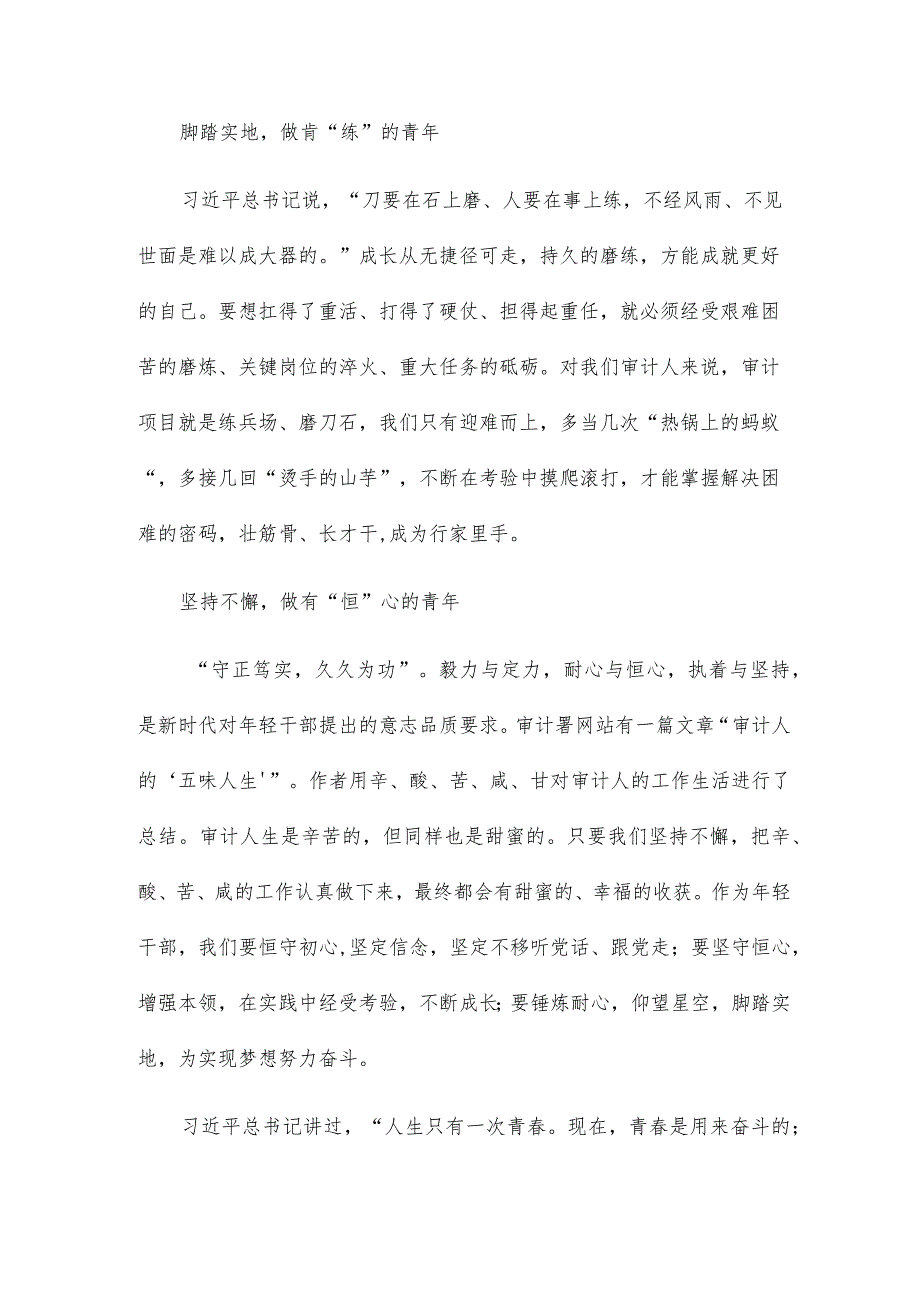 市审计局年轻干部座谈会优秀交流发言稿6篇.docx_第2页