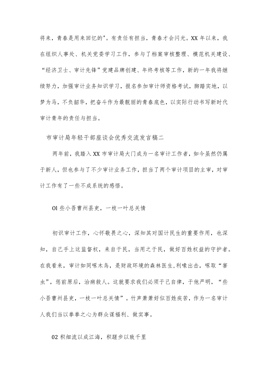 市审计局年轻干部座谈会优秀交流发言稿6篇.docx_第3页