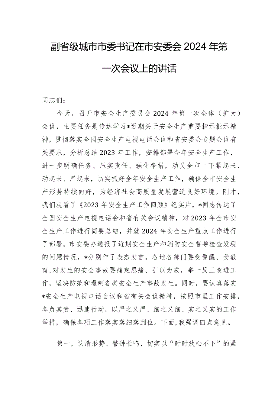 副省级城市市委书记在市安委会2024年第一次会议上的讲话.docx_第1页