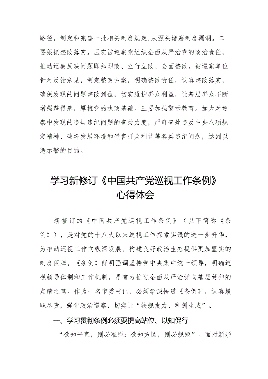 学习新修订《中国共产党巡视工作条例》心得体会交流发言14篇.docx_第3页