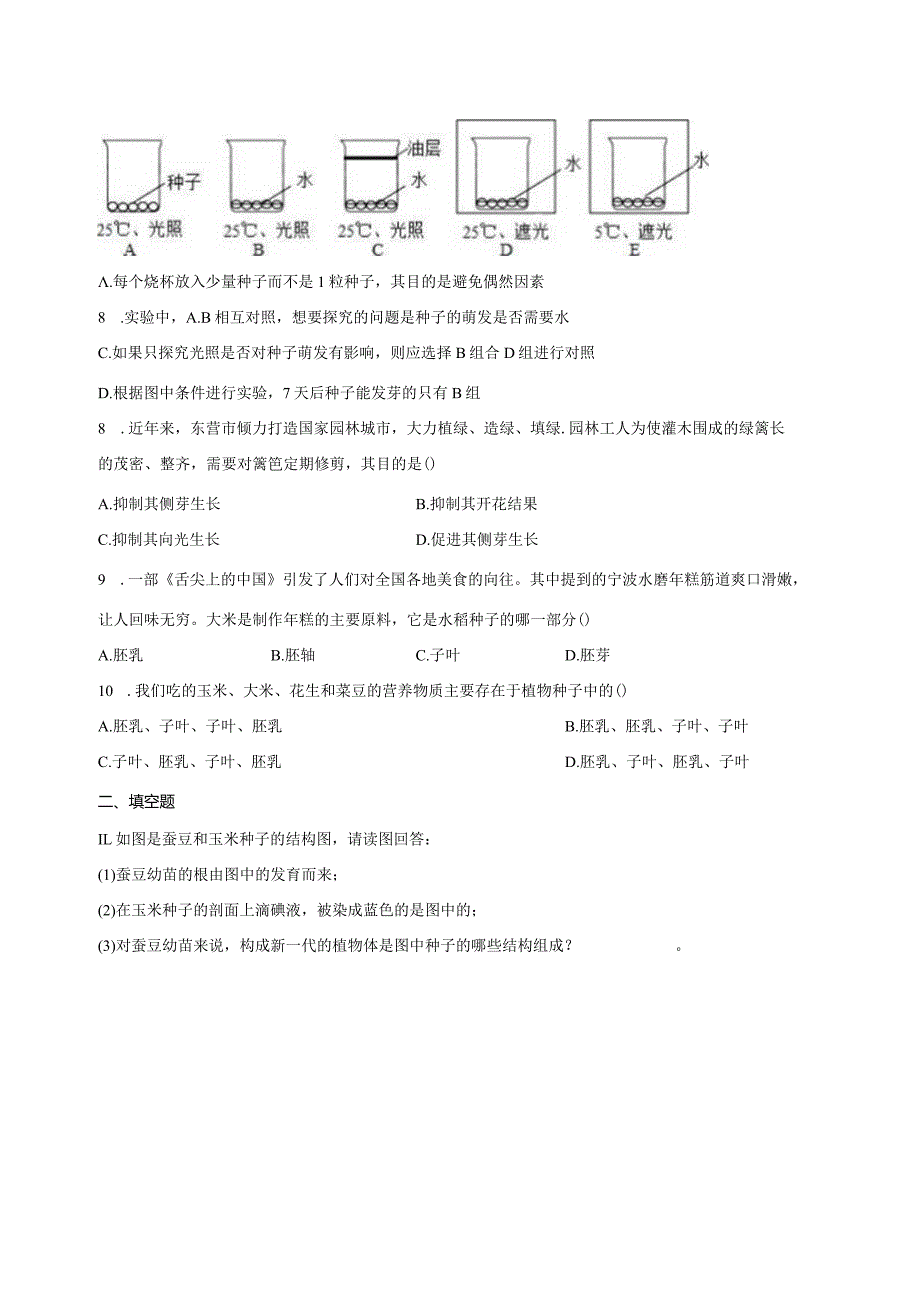 1.4植物的一生同步练习（含答案）公开课教案教学设计课件资料.docx_第3页