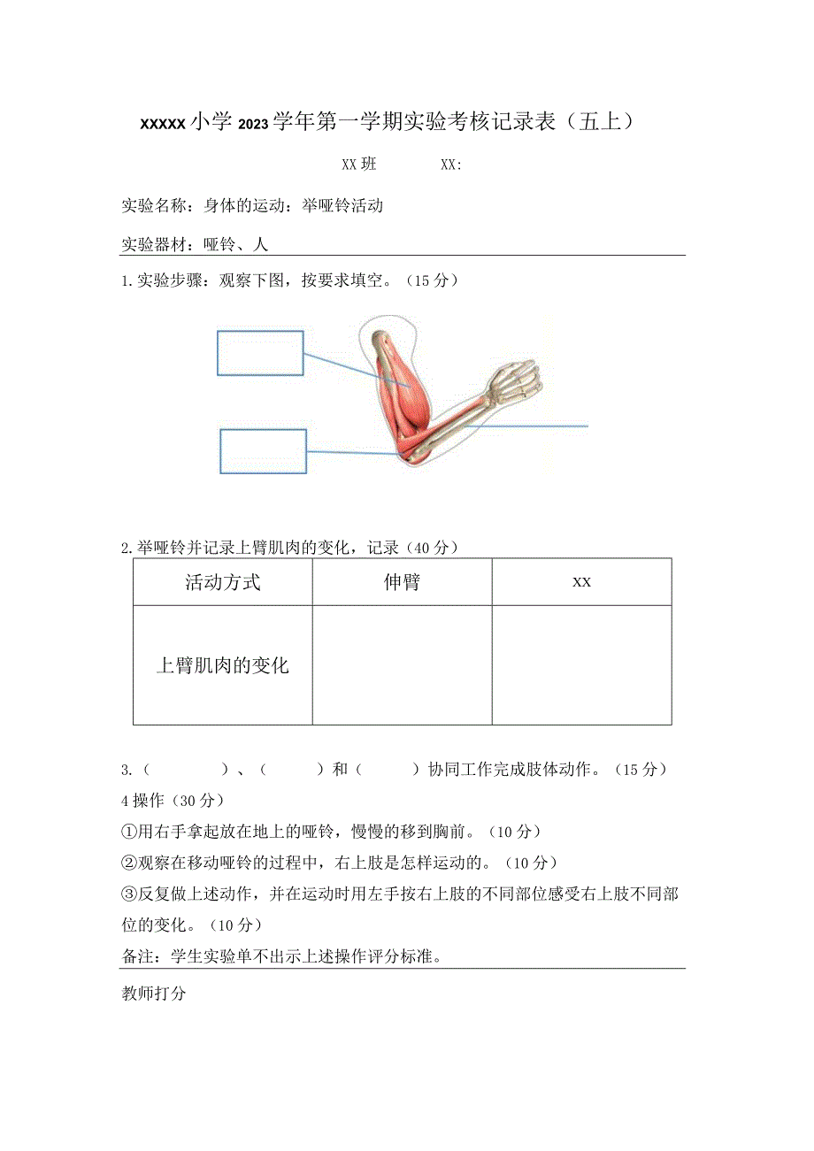 x小学2023学年第一学期实验考核记录表公开课教案教学设计课件资料.docx_第1页