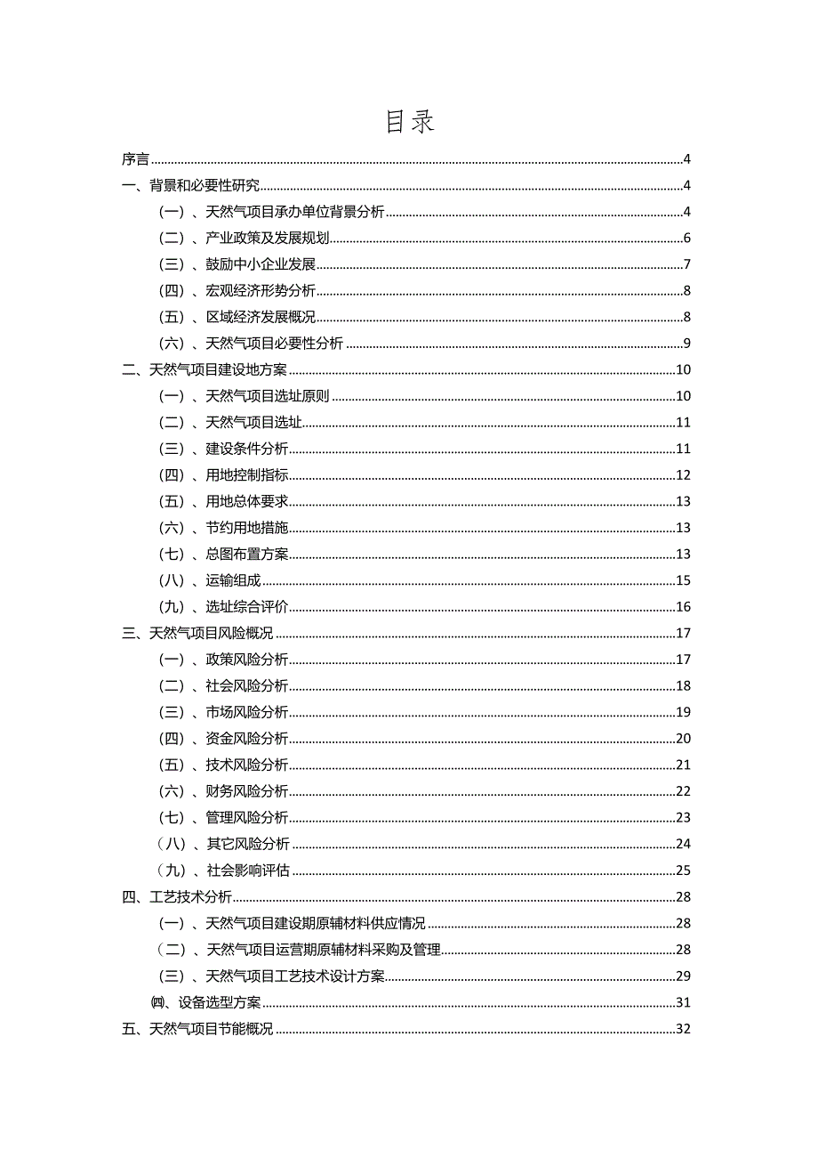 2023年天然气相关项目运行指导方案.docx_第2页