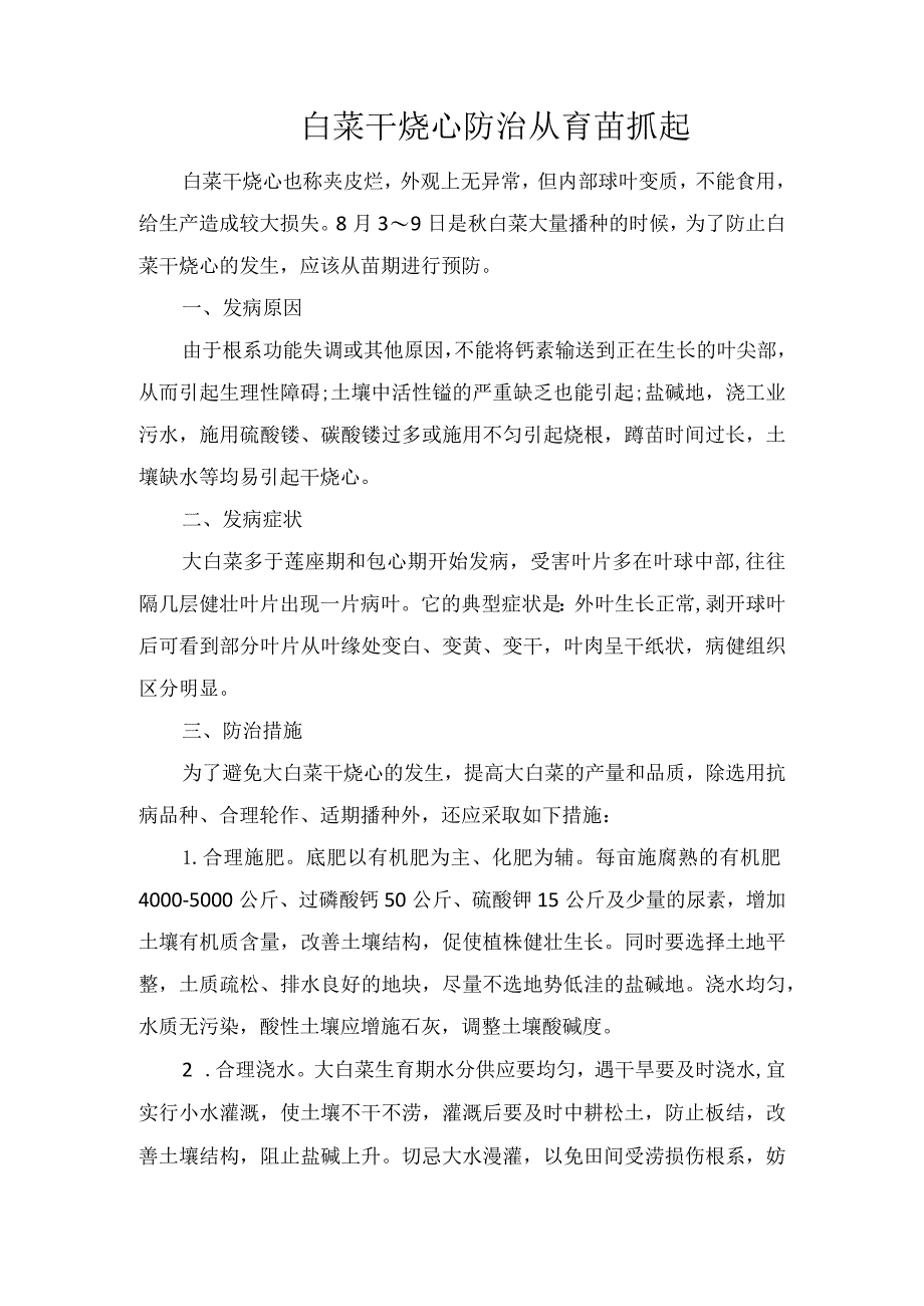 白菜干烧心防治从育苗抓起.docx_第1页