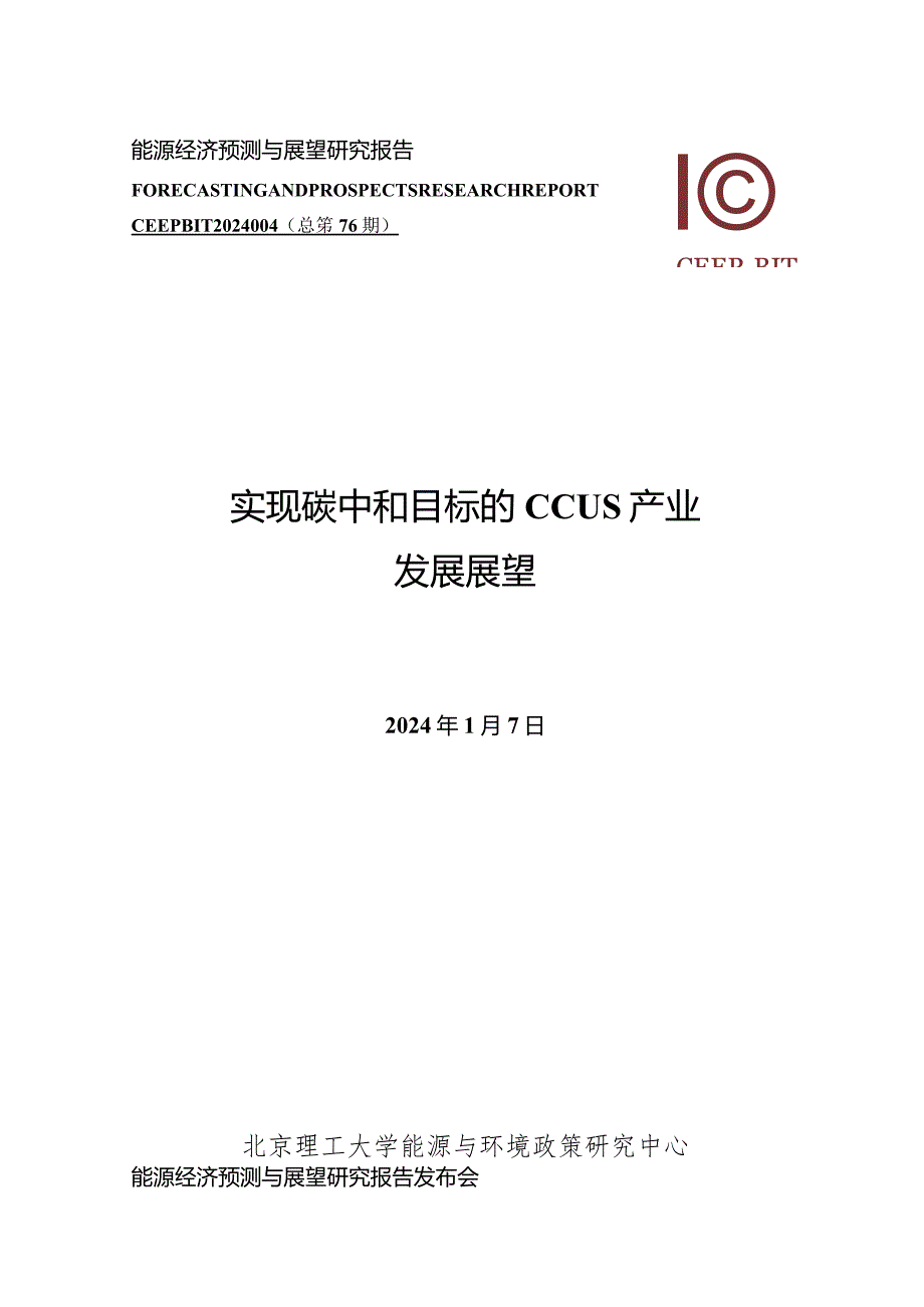 实现碳中和目标的CCUS产业发展展望.docx_第1页