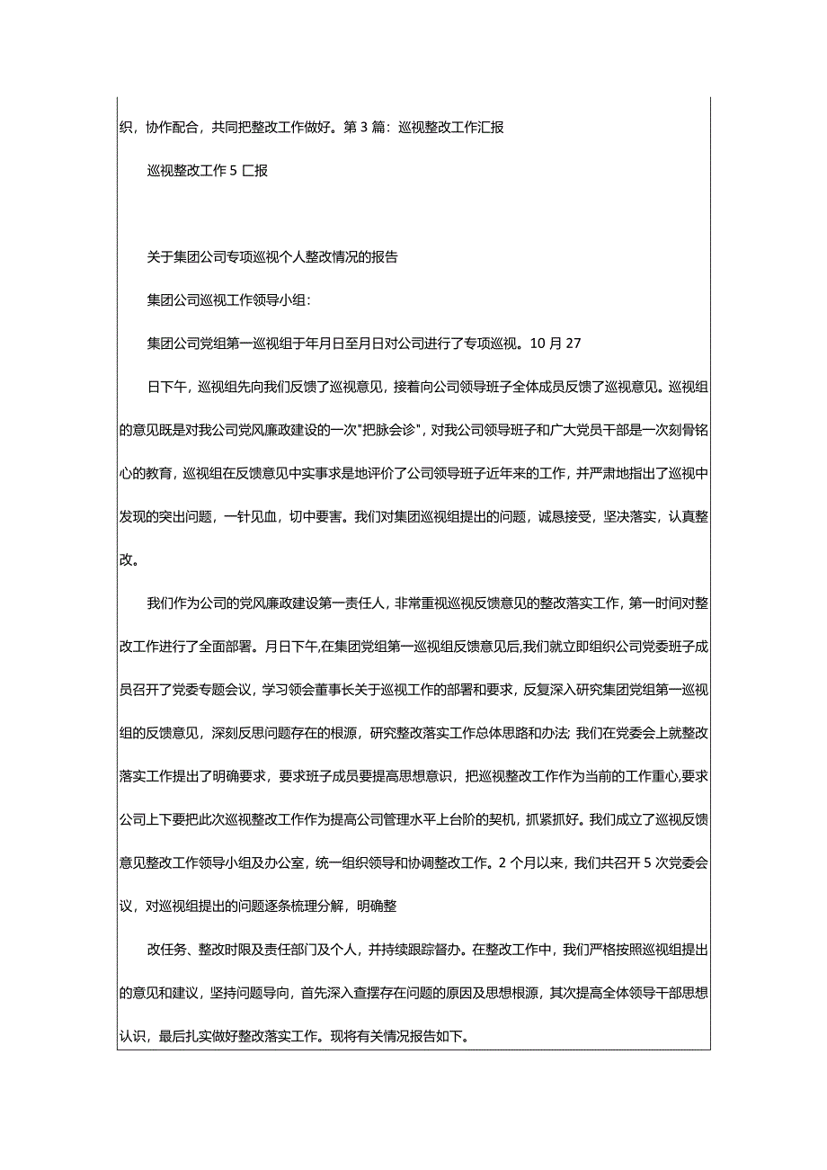 2024年巡视整改工作总结-大文斗范文网手机端.docx_第3页