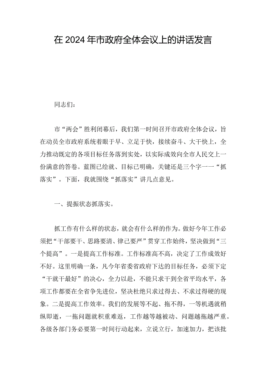 在2024年市政府全体会议上的讲话发言.docx_第1页