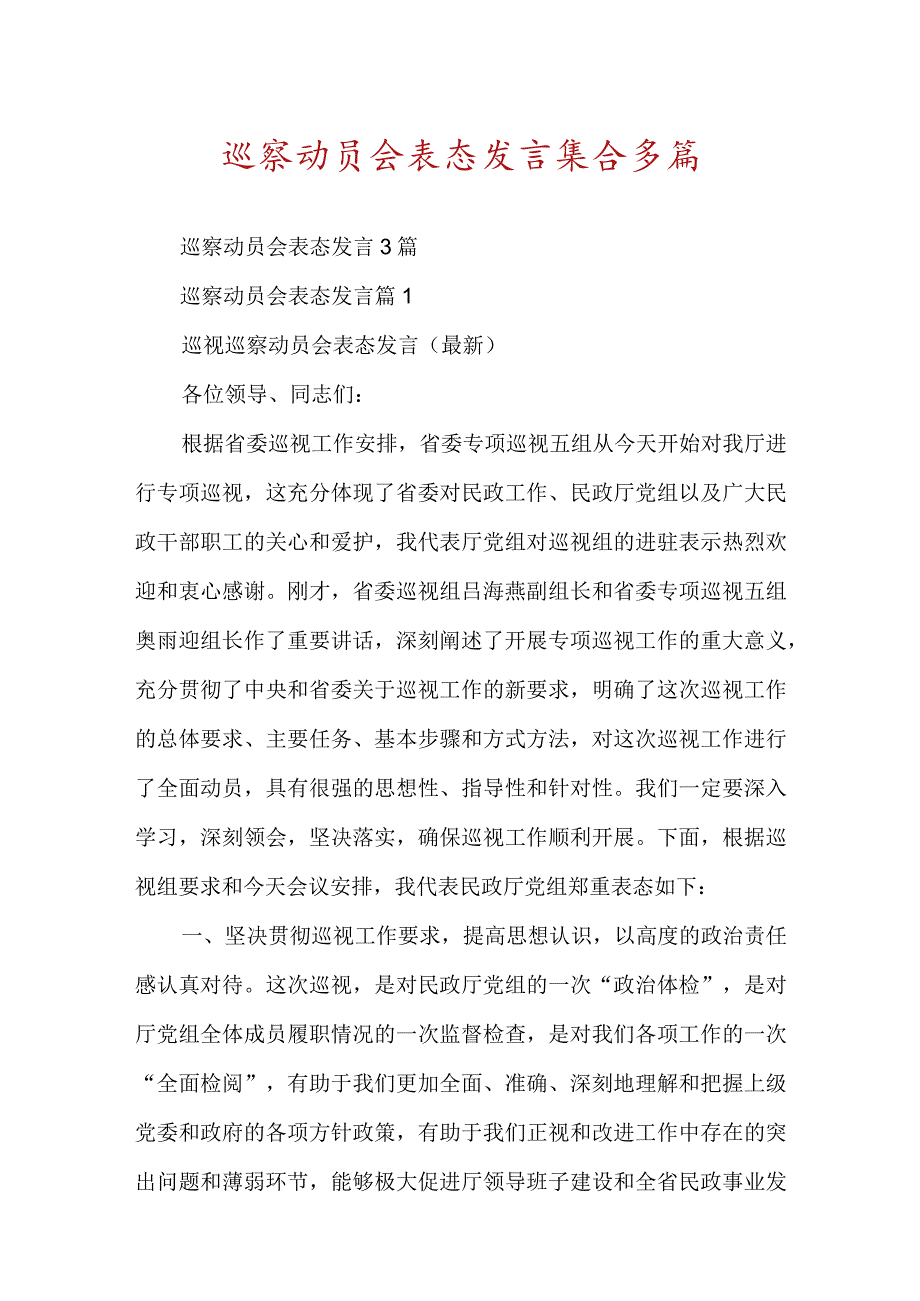 巡察动员会表态发言集合多篇.docx_第1页