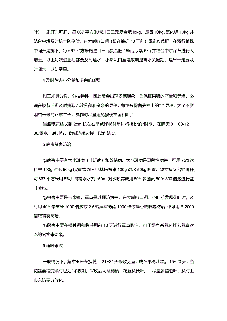 澳甜5号超甜玉米栽培的技术.docx_第2页