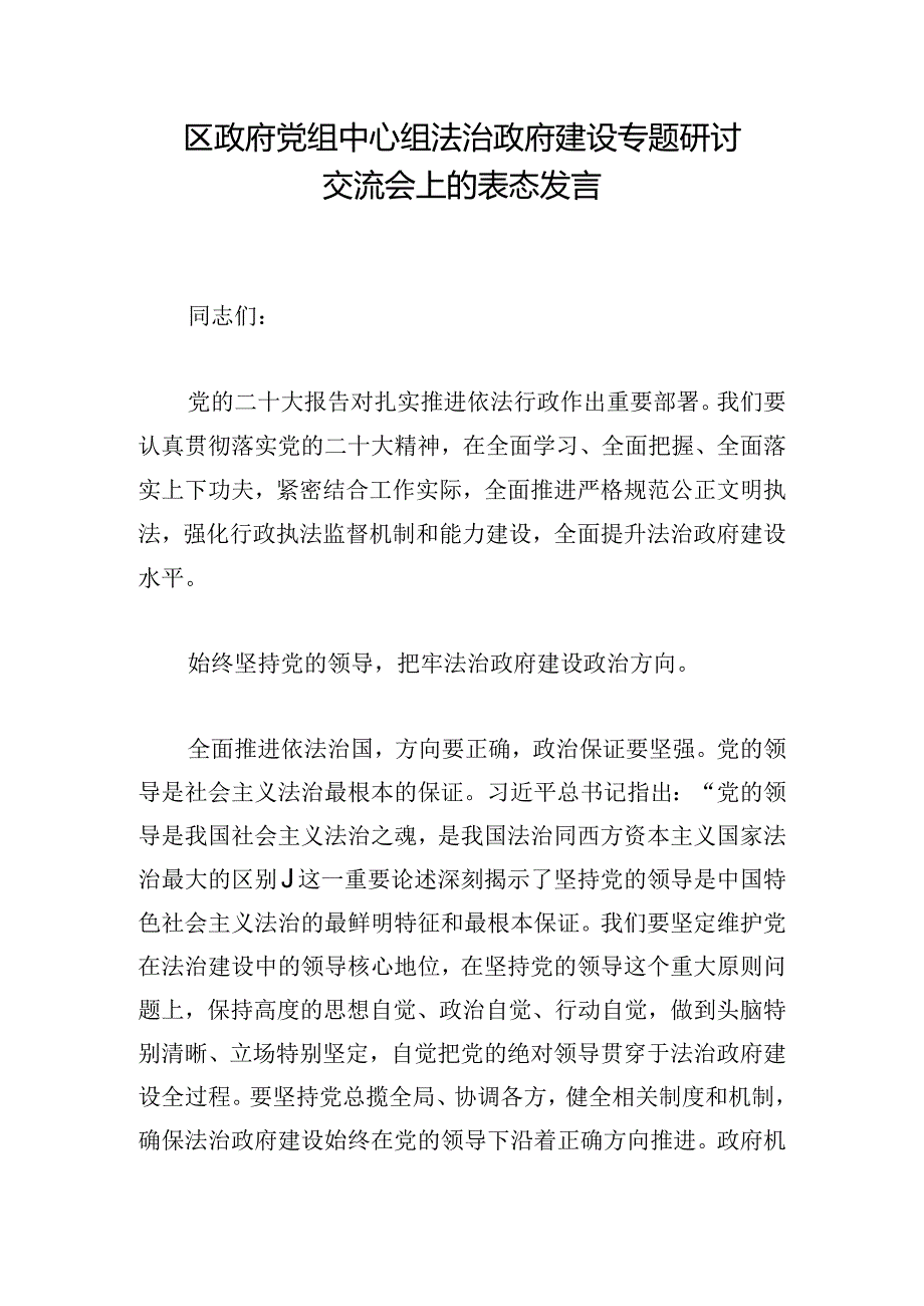 区政府党组中心组法治政府建设专题研讨交流会上的表态发言.docx_第1页