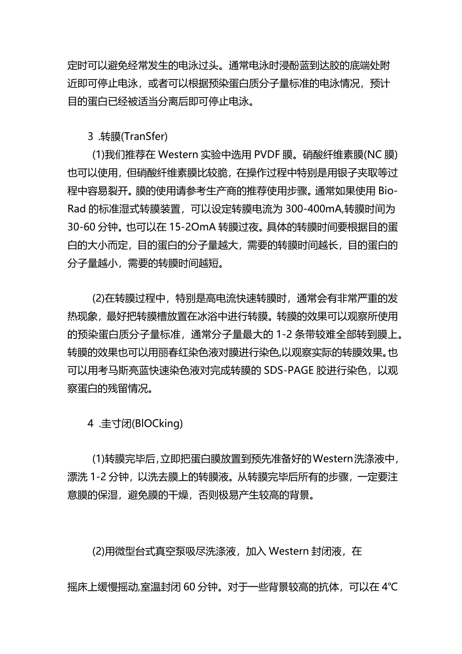 western-blot实验操作步骤.docx_第2页