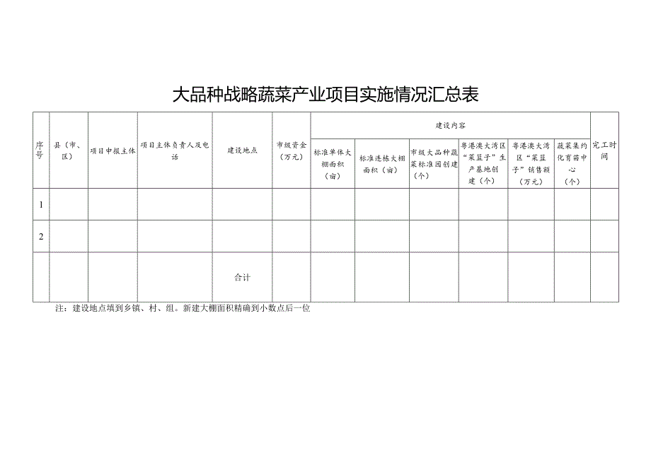 大品种战略蔬菜产业项目实施情况汇总表.docx_第1页