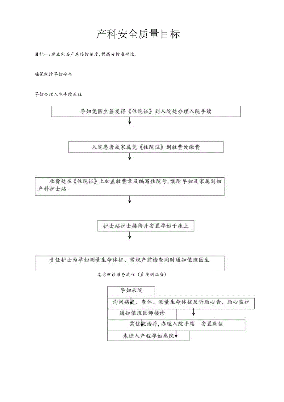 产科十大安全目标的指引与流程.docx_第1页