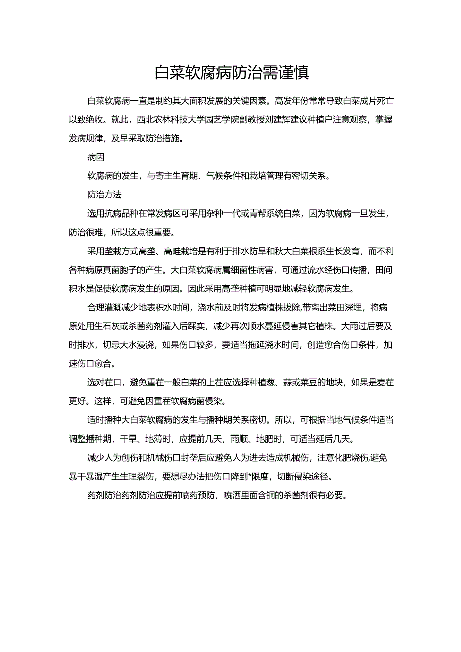 白菜软腐病防治需谨慎.docx_第1页