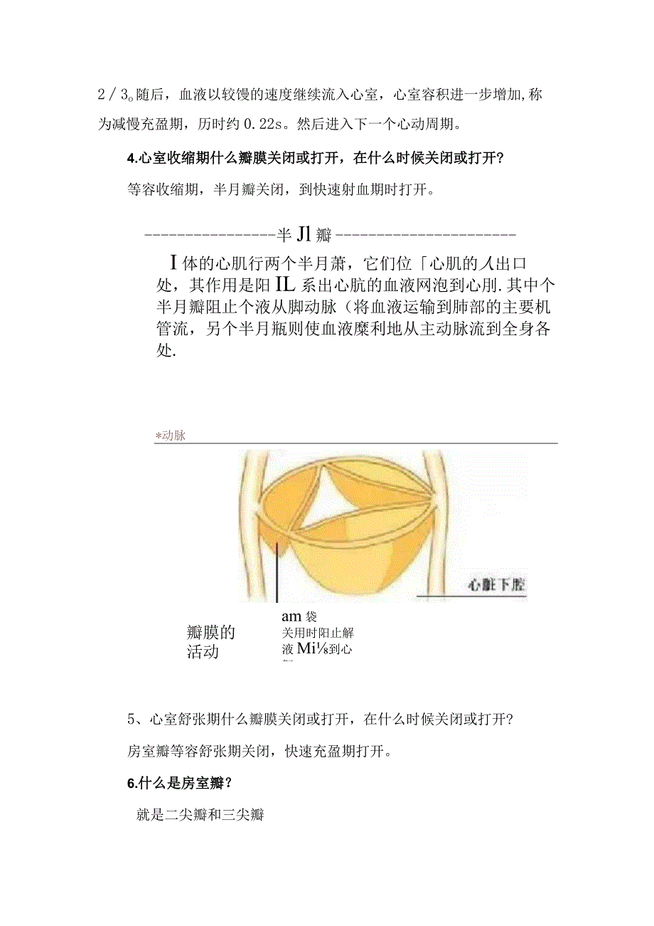 临床心室收缩期、心室舒张期、瓣膜关闭不全、心音、心脏听诊等心脏重难知识要点.docx_第3页