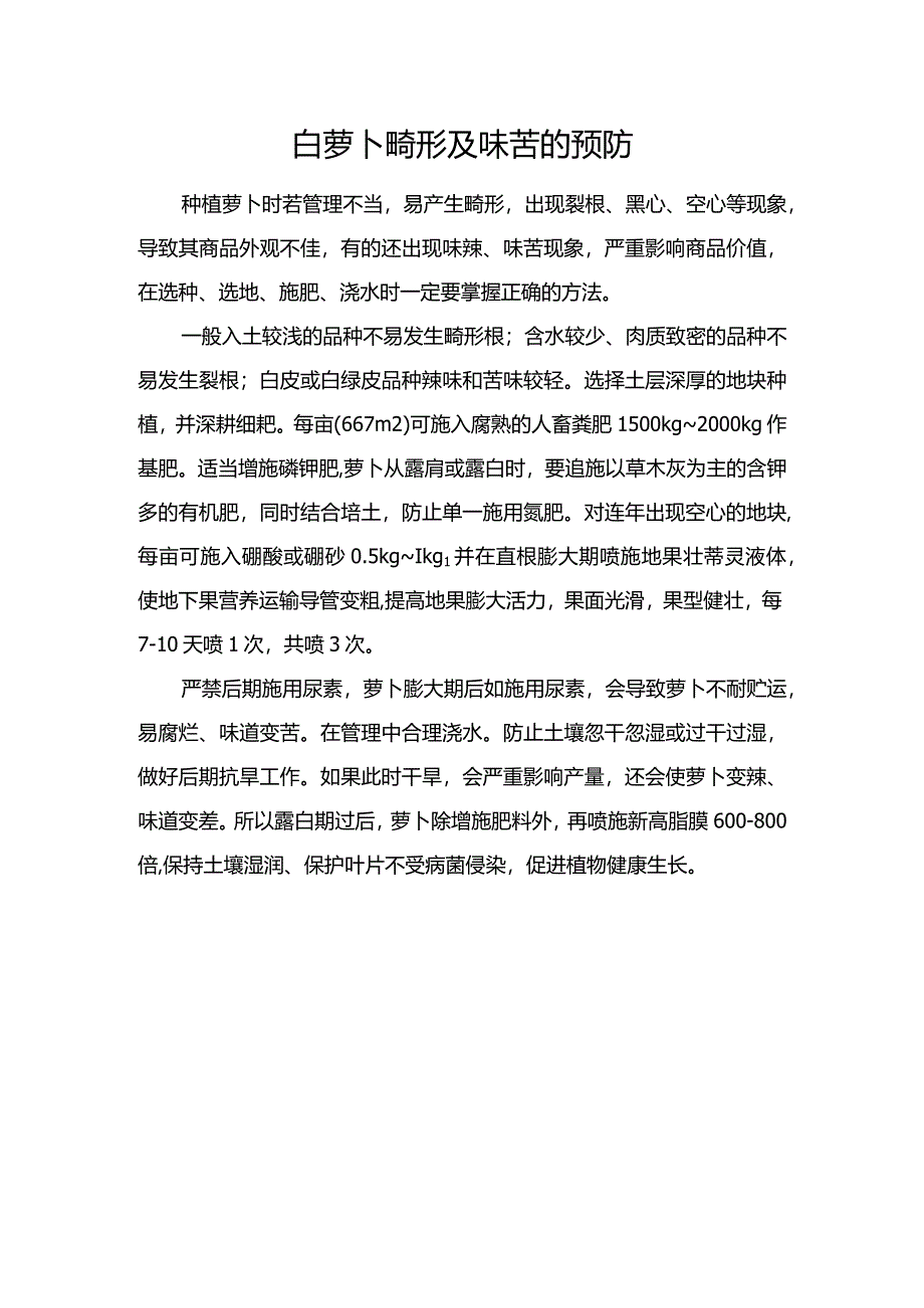 白萝卜畸形及味苦的预防.docx_第1页