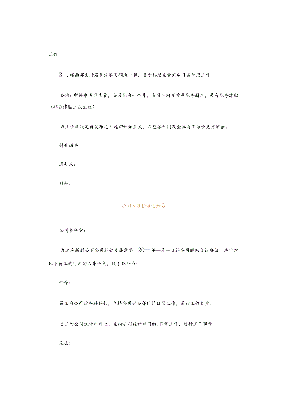 公司人事任命通知范文模板.docx_第2页