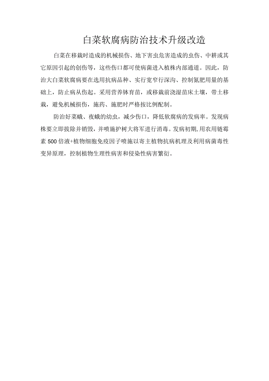 白菜软腐病防治技术升级改造.docx_第1页