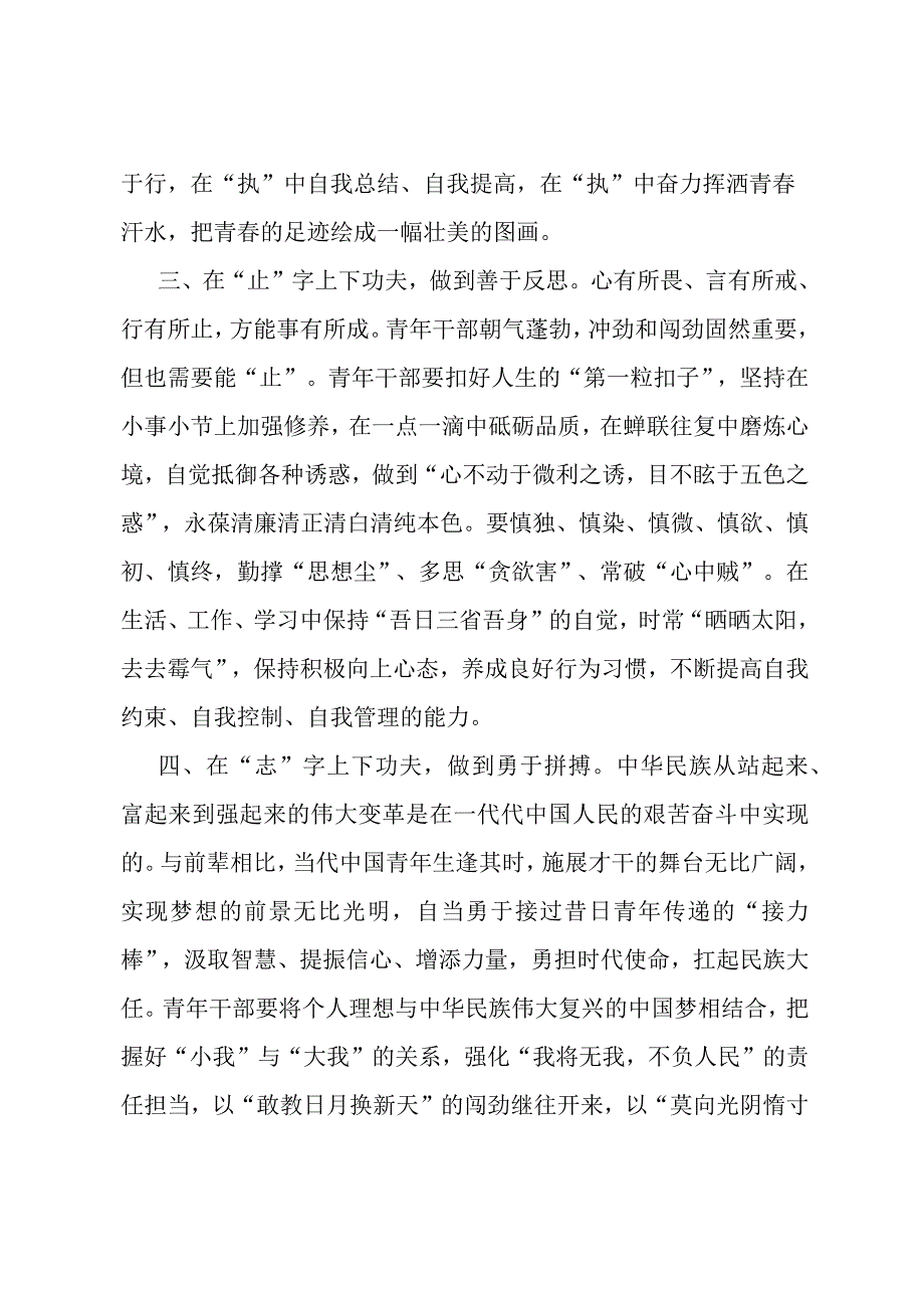 青年干部座谈发言提纲.docx_第2页