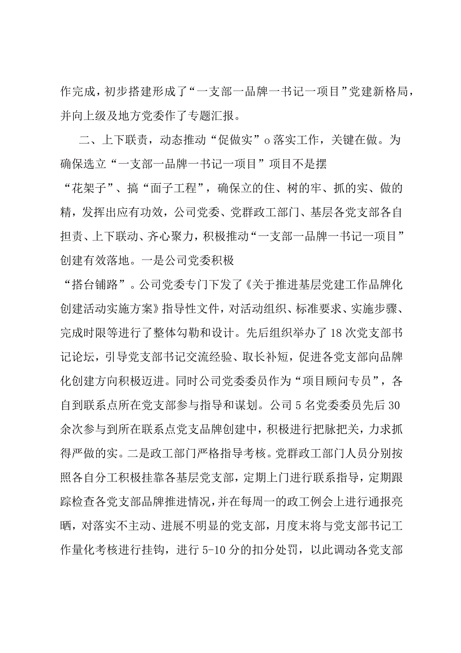 实施“一支部一品牌一书记一项目”过硬党支部建设经验交流材料.docx_第3页