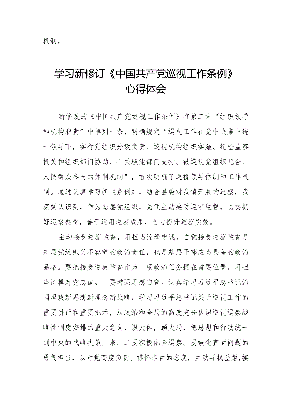 关于学习新修订中国共产党巡视工作条例2024版的心得体会7篇.docx_第2页