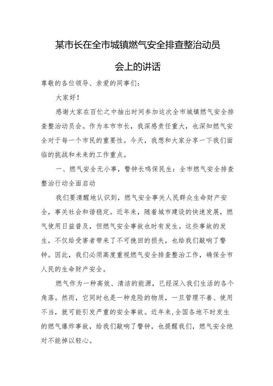 某市长在全市城镇燃气安全排查整治动员会上的讲话.docx_第1页