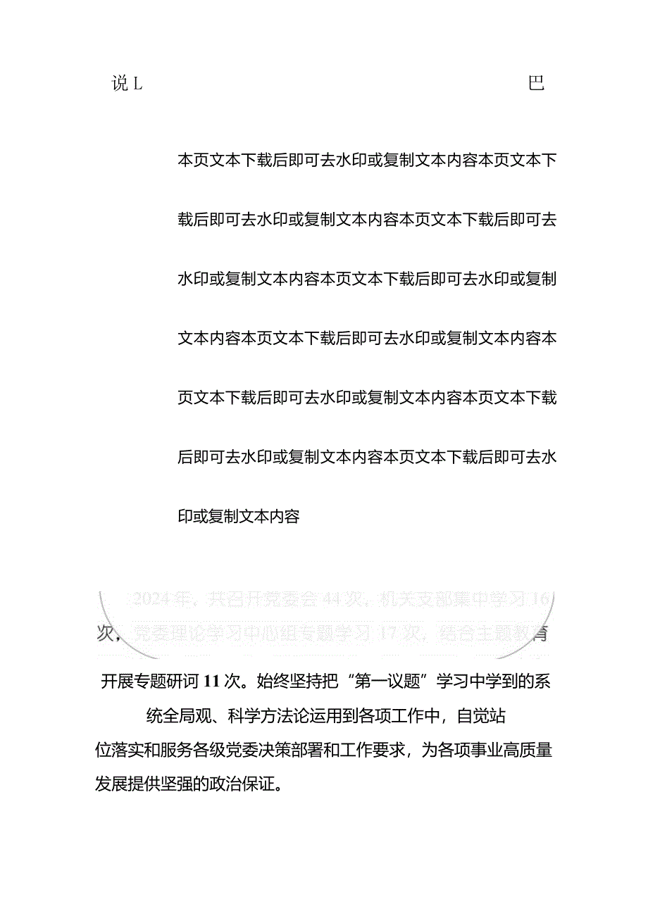 2024落实“第一议题”制度工作总结（精选）.docx_第3页