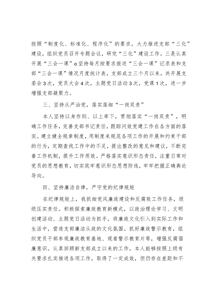 新成立的党支部书记述职报告1100字.docx_第2页