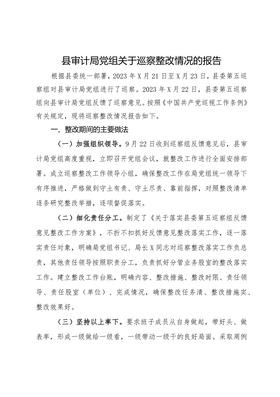 县审计局党组关于巡察整改情况的报告.docx_第1页