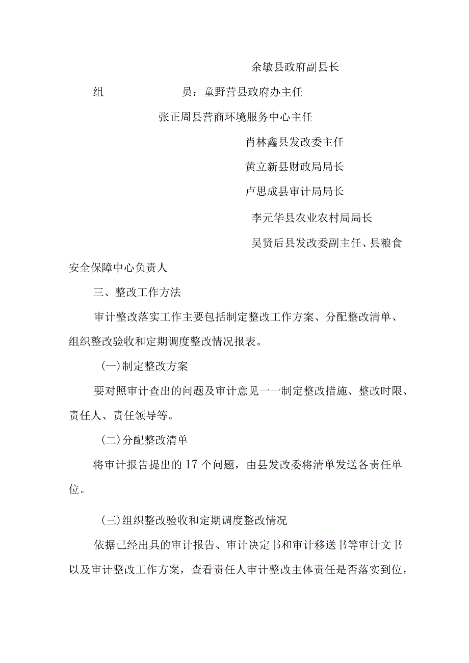 关于落实粮食领域专项审计调查发现问题整改方案.docx_第2页