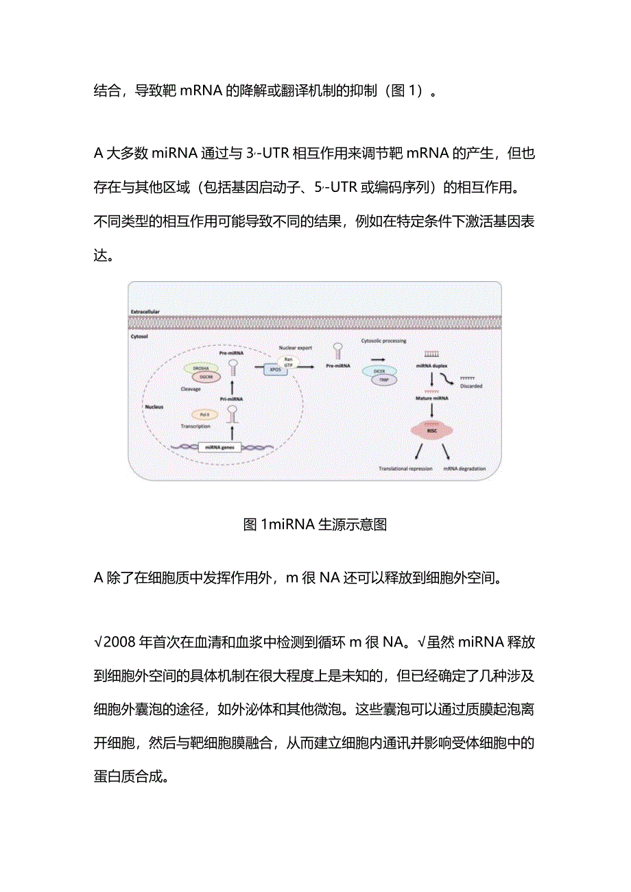 miRNA在心力衰竭诊断、预后和治疗中的作用2024.docx_第2页