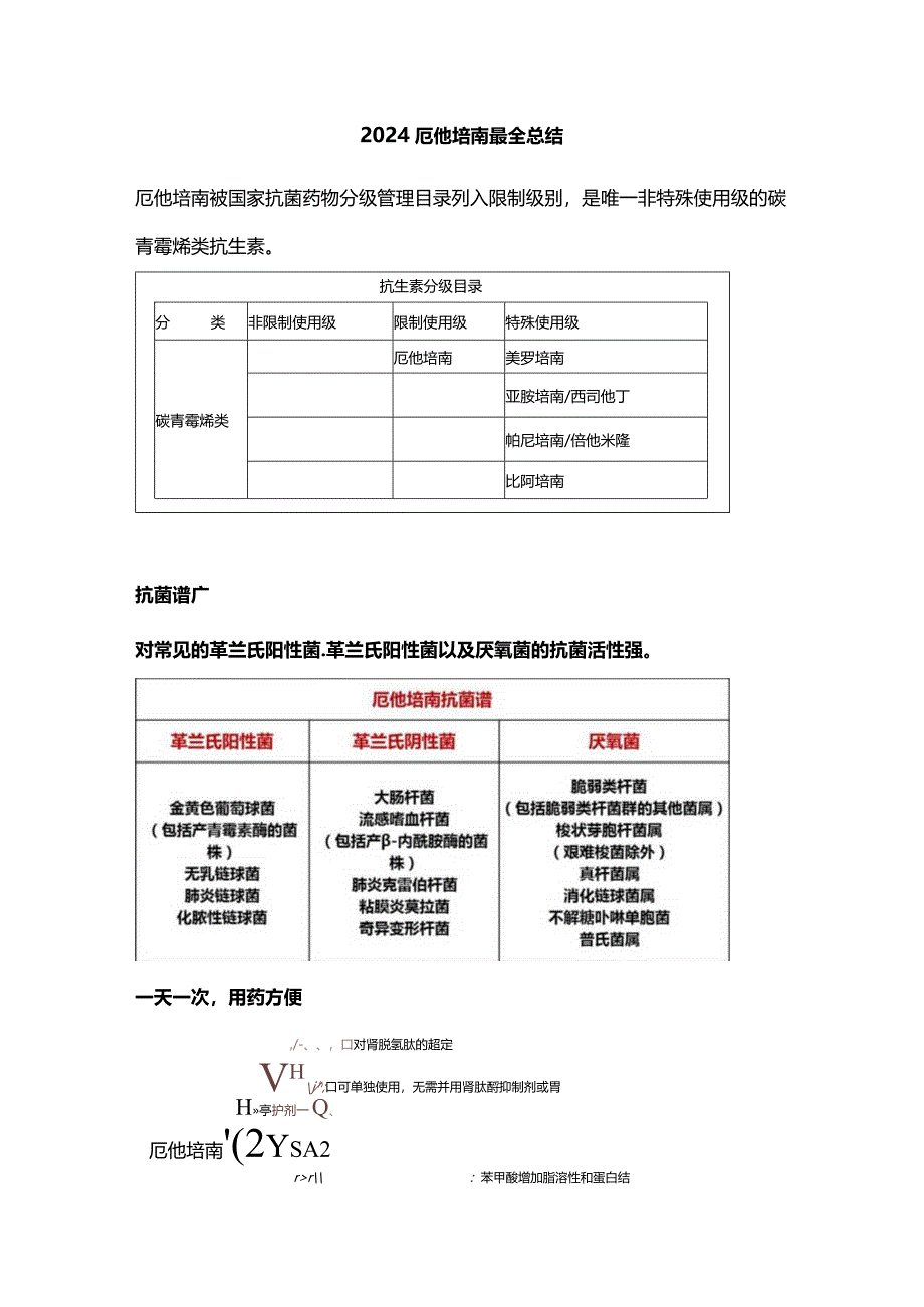 2024厄他培南最全总结.docx_第1页