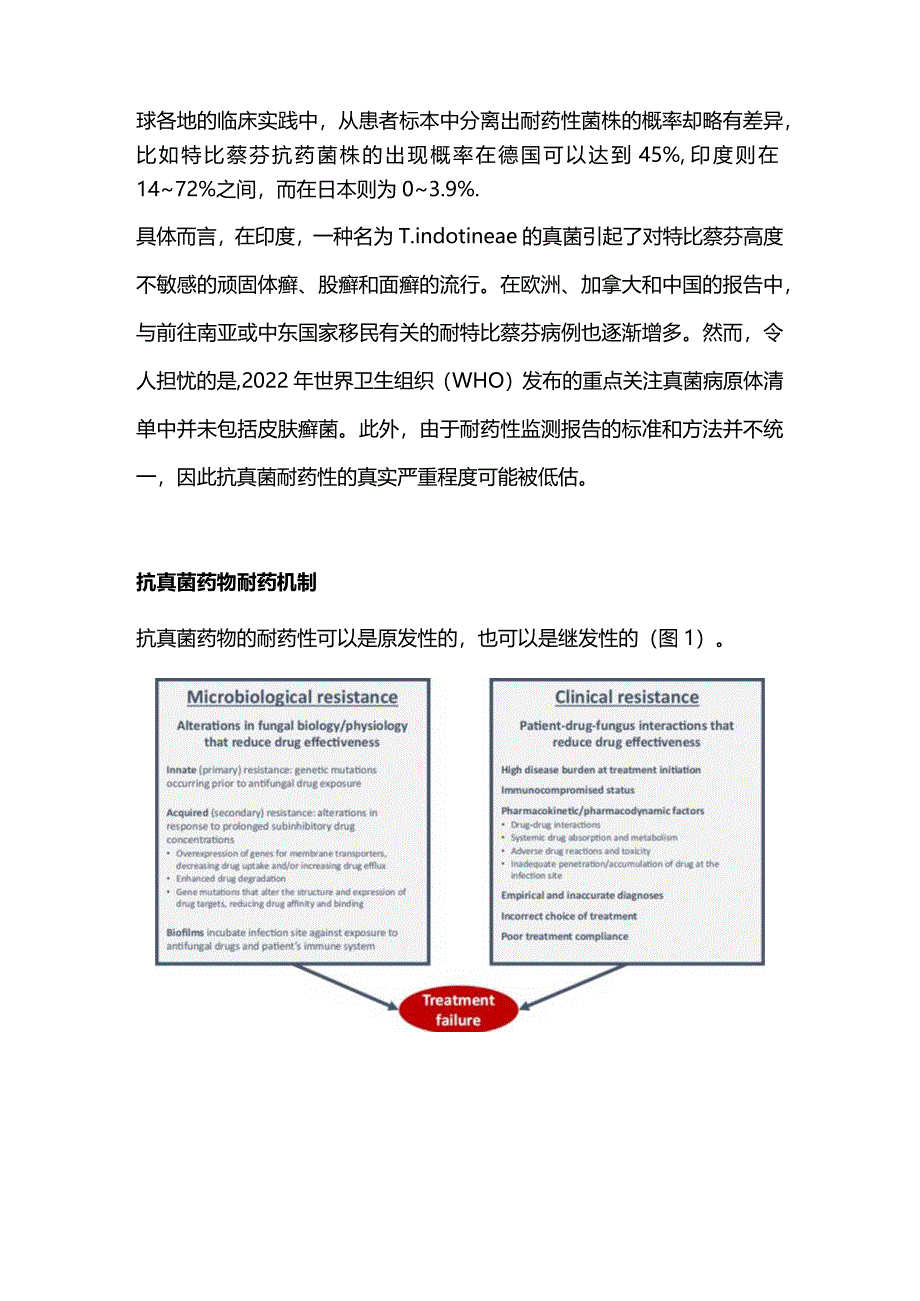 2024抗真菌耐药时代甲真菌病的管理与治疗.docx_第2页