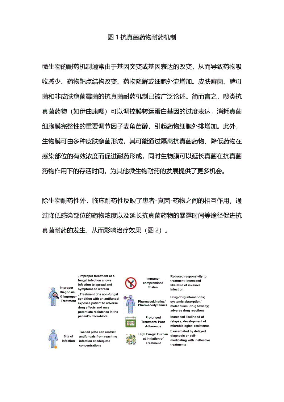 2024抗真菌耐药时代甲真菌病的管理与治疗.docx_第3页