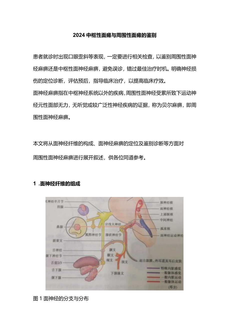 2024中枢性面瘫与周围性面瘫的鉴别.docx_第1页